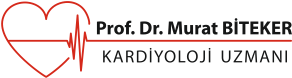 Prof Dr Murat Biteker